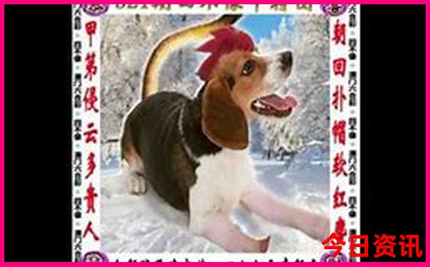 南岳山旅游景点详细介绍